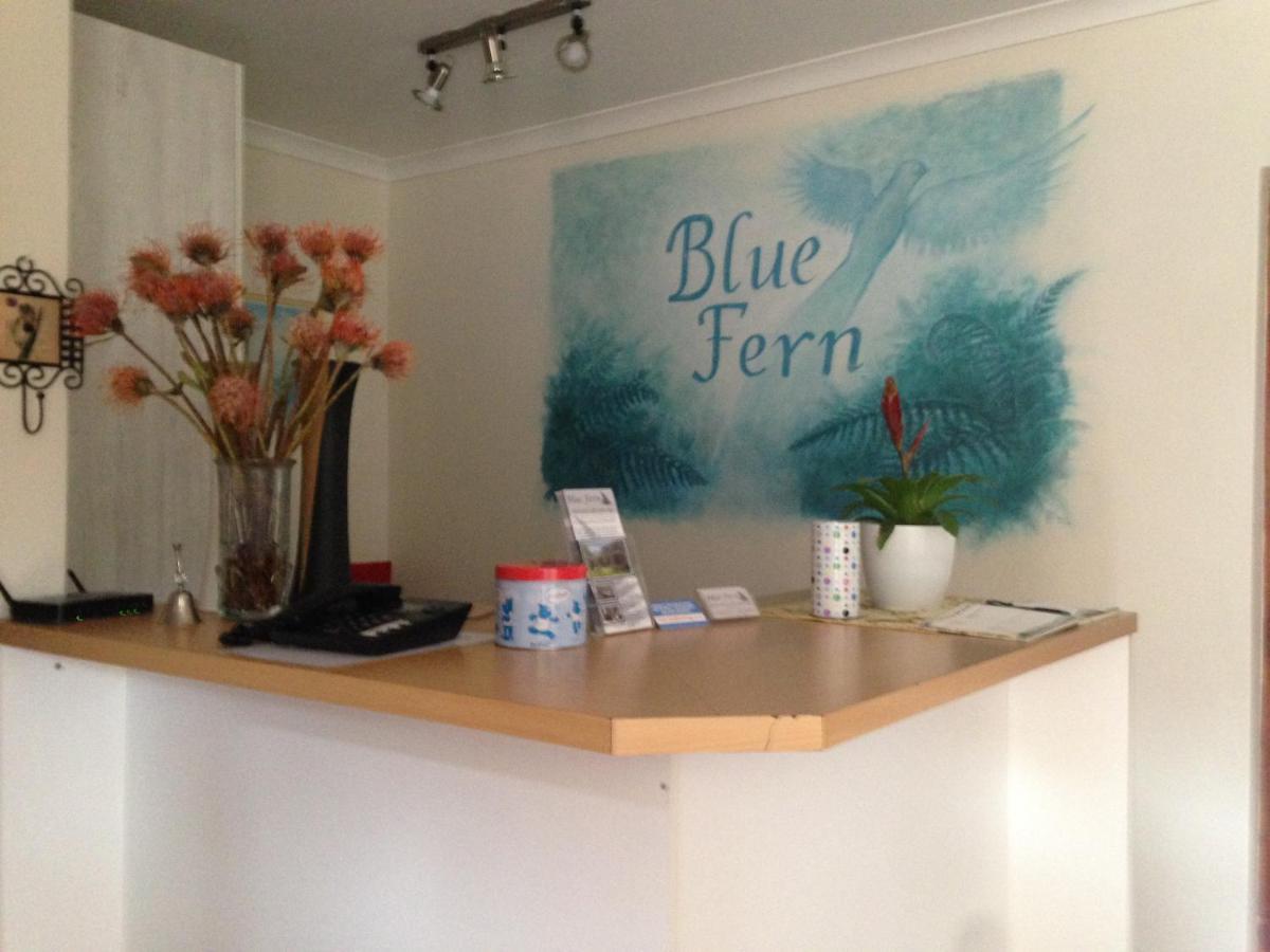 Bed and Breakfast Blue Fern Of Knysna Zewnętrze zdjęcie