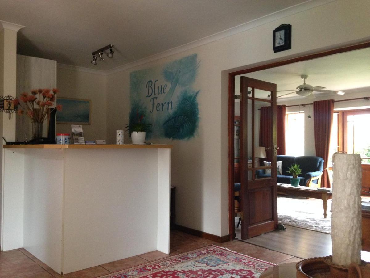Bed and Breakfast Blue Fern Of Knysna Zewnętrze zdjęcie
