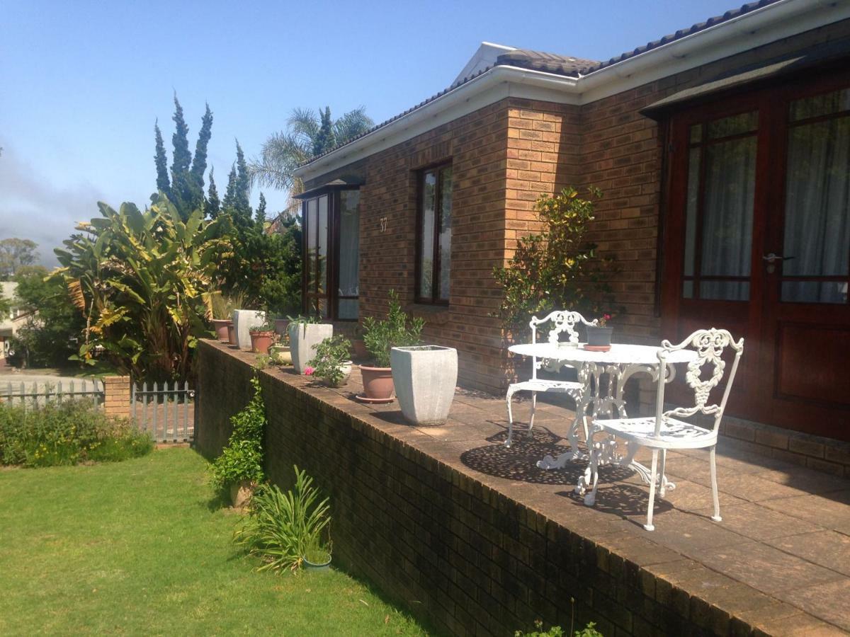 Bed and Breakfast Blue Fern Of Knysna Zewnętrze zdjęcie
